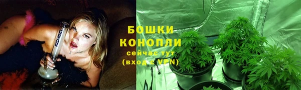 крисы Лиски