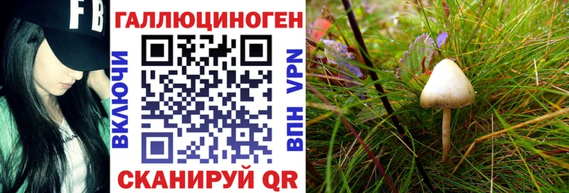 Псилоцибиновые грибы Cubensis  Химки 